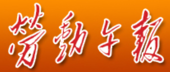 劳动午报