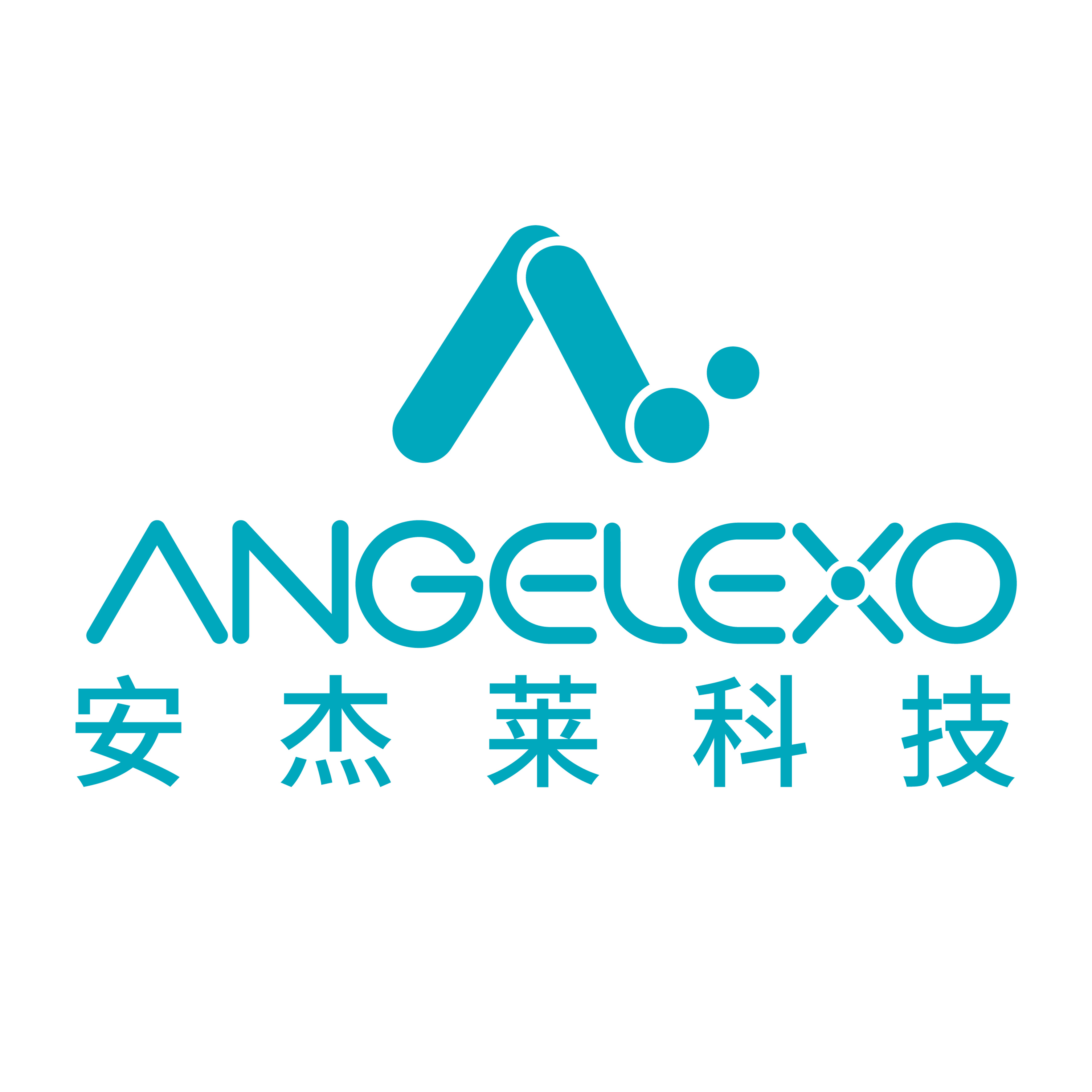 安杰莱科技